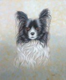 Betty Alink, Papillon / vlinderhond, 60 x 50