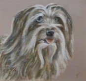 Chantalle Coenders, mijn hond, 30 x 30