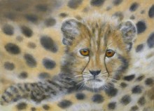 Diana Reemst, aandacht, 20 x 30