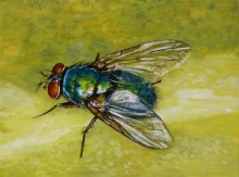 Christine van Oostrum, 30 x 40