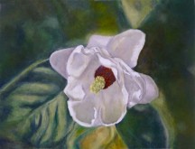 Hannah Siepman, bloem, 30 x 40