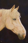 Trude Hendriks, 60 x 40