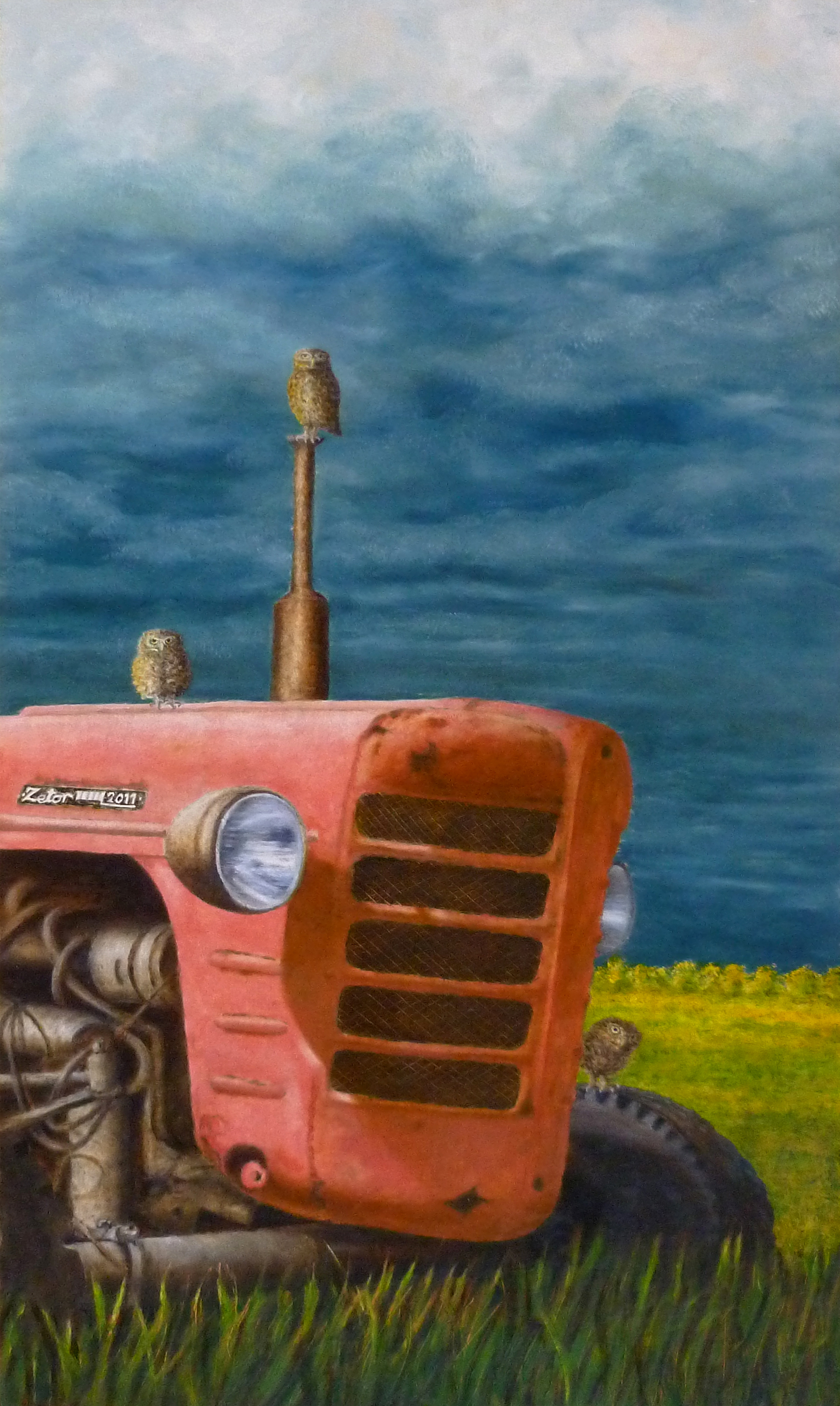 Len Samsom, steenuiltjes op tractor, 60 x 40