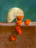 Joke v.d Plassche, nautilus, naar de waarneming, 40 x 30
