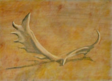 Celine Dupon, eland, 1e opdracht