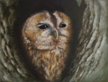 Peter Ullersma, wat zit daar? 30 x 40, 5e opdracht