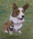 Henri Nijland, onze hond, 35 x 30, 5e opdracht