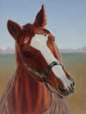 Godelive Kip, mijn paard, 40 x 30, 5e opdracht