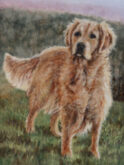 Tineke van Taarling, onze retriever, 40 x 30
