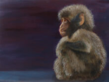 Gerbrand ten Napel, 30 x 40